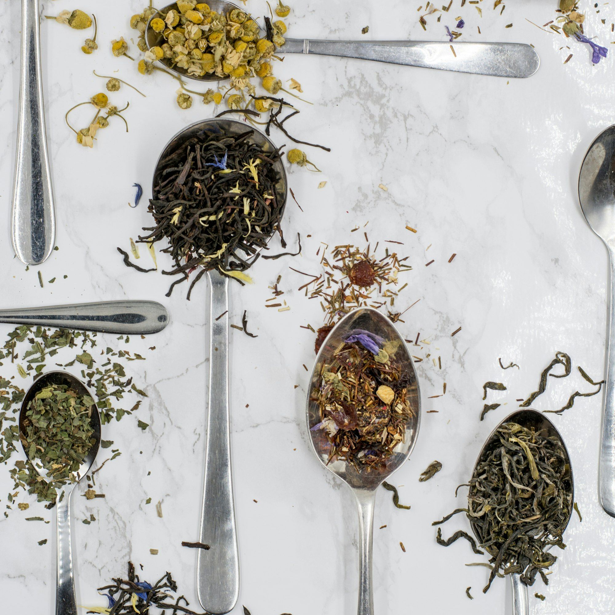 Cuillères de tisanes : camomille, menthe, rooibos et thé vert